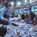 Festival de Pêche artisanale en Méditerranée