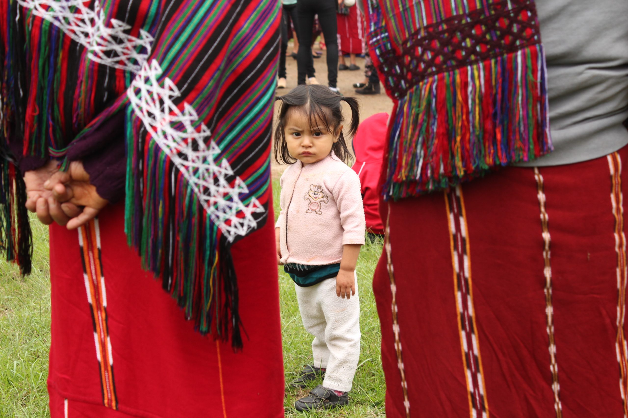 Construcción de condiciones de vida digna para mujeres indígenas sobrevivientes de violencia sexual